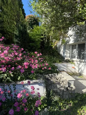 5-Zimmer-Haus kaufen in Tulln – 220 m², € 1.359.000 – Bild 6 von 56