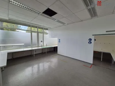 Gewerbeimmobilie mieten in Graz – 382 m² – Bild 2 von 11