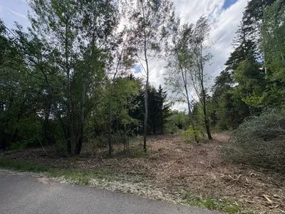 Grundstück kaufen in Graz-Umgebung – 5 372 m², € 85.580 – Bild 2 von 3