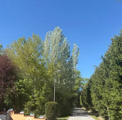 Grundstück kaufen in Graz-Umgebung – 5 372 m², € 85.580