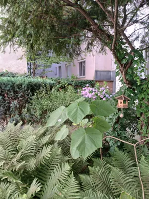 3-Zimmer-Wohnung kaufen in Wien – 67 m², € 312.000 – Bild 22 von 24