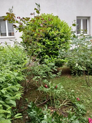 3-Zimmer-Wohnung kaufen in Wien – 67 m², € 312.000 – Bild 19 von 24