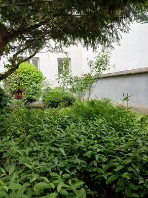 3-Zimmer-Wohnung kaufen in Wien – 67 m², € 312.000 – Bild 18 von 24