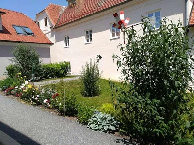 2-Zimmer-Wohnung mieten in Hartberg-Fürstenfeld – 62 m², € 534 – Bild 11 von 12