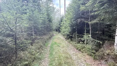 Grundstück kaufen in Ried im Innkreis – 15 252 m², € 76.260 – Bild 19 von 19