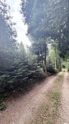 Grundstück kaufen in Ried im Innkreis – 15 252 m², € 76.260 – Bild 11 von 19