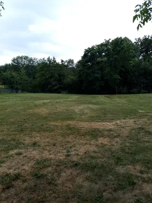 Immobilie kaufen in Horn – 2 576 m², € 90.000 – Bild 5 von 8