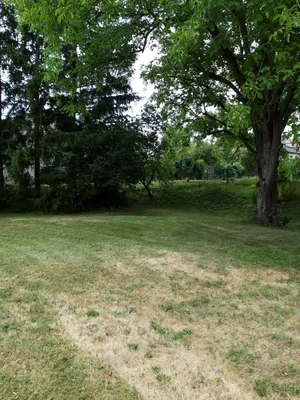 Immobilie kaufen in Horn – 2 576 m², € 90.000 – Bild 7 von 8