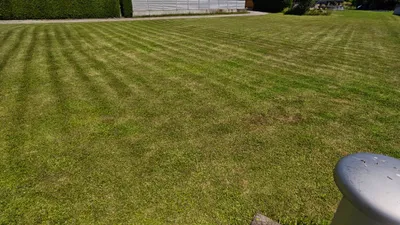 Grundstück kaufen in Perg – 847 m² – Bild 8 von 18