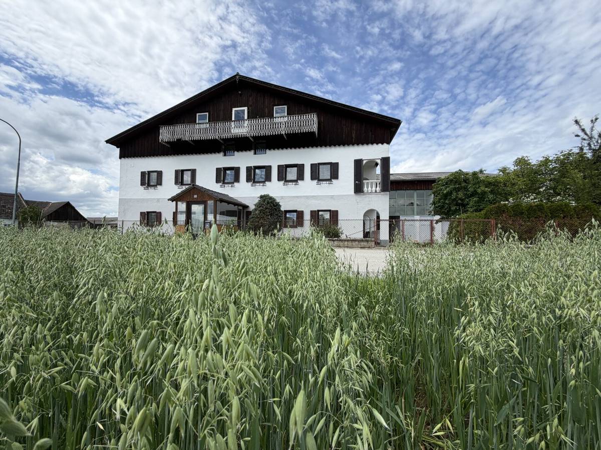 Viel Platz und Höhe - Bauernhaus mit ca. 7000 m² Grund , hohen Hallen und Garagen, Breitensee