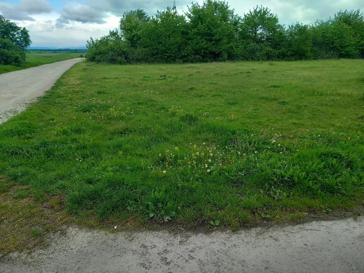Baugrund in ruhiger Lage - Ansicht 3