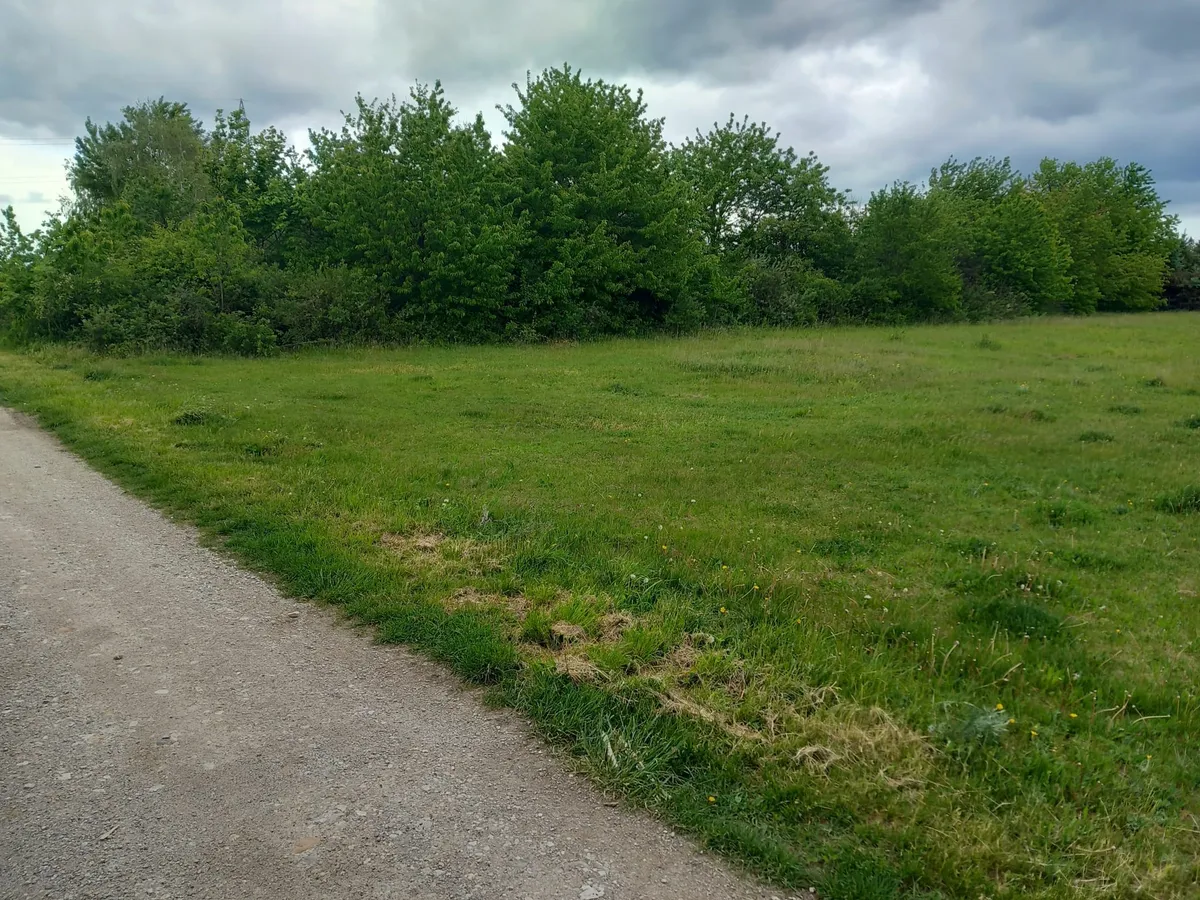 Baugrund in ruhiger Lage
