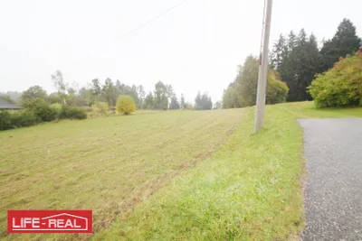 Grundstück kaufen in Rohrbach – 12 789 m², € 89.000 – Bild 5 von 7