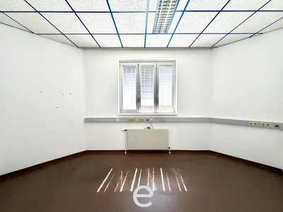 Immobilie mieten in Wels – 3 318 m² – Bild 11 von 30