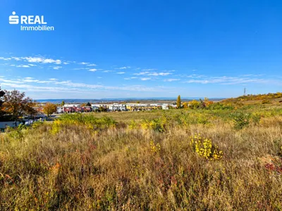 Grundstück kaufen in Neusiedl am See – 2 443 m², € 1.221.500 – Bild 3 von 5
