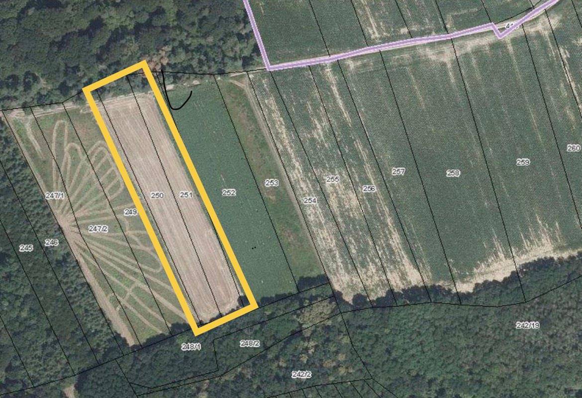 0,8ha Acker nahe Sitzenberg Reidling in der KG Gutenbrunn, Grundstück 250,251, Sitzenberg-Reidling