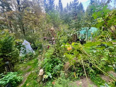 5-Zimmer-Haus mieten in Deutschlandsberg – 120 m², € 850 – Bild 10 von 35