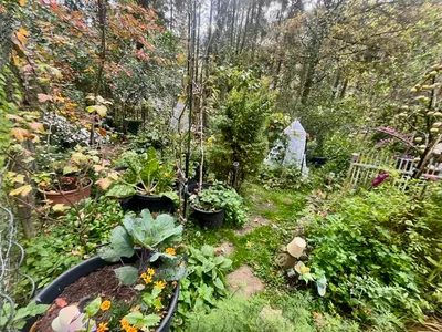 5-Zimmer-Haus mieten in Deutschlandsberg – 120 m², € 850 – Bild 11 von 35