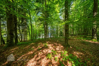 Haus kaufen in Villach Land – 17 m², € 4.900.000 – Bild 14 von 27