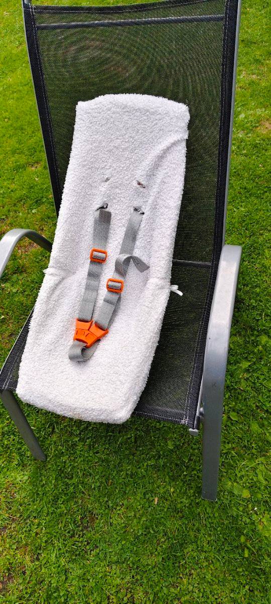 Babyschale fr Fahrradanhnger,  25,- (9634 Gundersheim) - willhaben