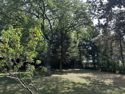 3-Zimmer-Haus kaufen in Baden – 90 m², € 180.000 – Bild 4 von 10