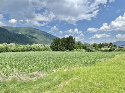Grundstück kaufen in Liezen – 22 200 m²