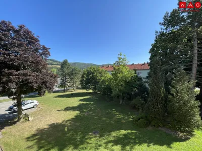 7-Zimmer-Wohnung kaufen in Lilienfeld – 159,12 m², € 100.000 – Bild 2 von 9