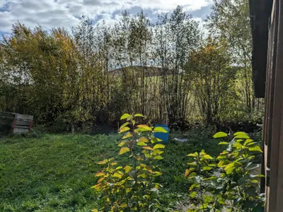 Grundstück kaufen in Linz Land – 717 m², € 270.000 – Bild 3 von 4
