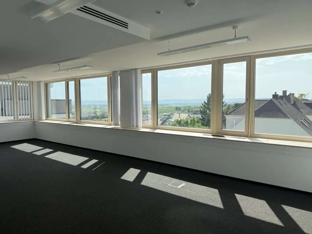modernes Büro mit über 200 m² in zentrumsnaher Lage zu vermieten - Ansicht 2