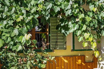 3-Zimmer-Haus kaufen in Oberpullendorf – 106 m², € 128.700 – Bild 5 von 39