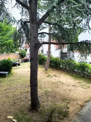 Gewerbeimmobilie kaufen in Eisenstadt – 550 m², € 850.000 – Bild 6 von 10