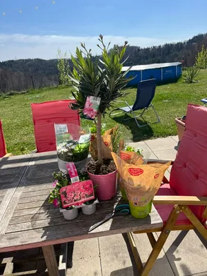 4-Zimmer-Haus mieten in Graz-Umgebung – 100 m², € 750