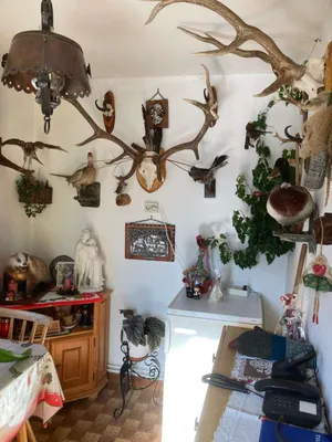 4-Zimmer-Haus kaufen in Völkermarkt – 153 m², € 295.000 – Bild 10 von 21