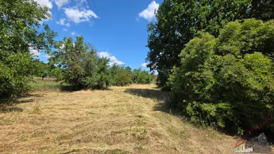 Grundstück mieten in Mistelbach – 800 m², € 850 – Bild 3 von 3