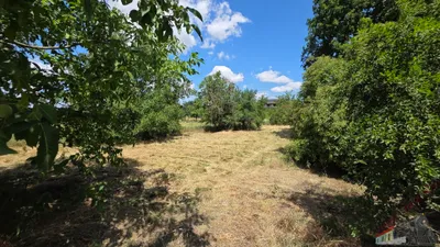 Grundstück mieten in Mistelbach – 800 m², € 850