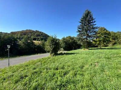 Grundstück kaufen in Südoststeiermark – 1 250 m², € 59.500 – Bild 5 von 15