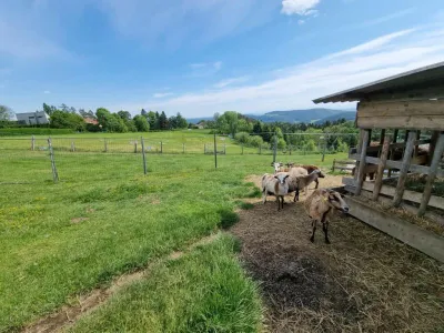 Grundstück kaufen in Graz-Umgebung – 53 000 m², € 199.000 – Bild 4 von 7