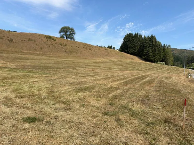 Neuparzellierung - toller Baugrund - Ansicht 3