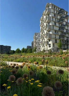 2-Zimmer-Neubauwohnung im Erstbezug mit Balkon direkt am Park