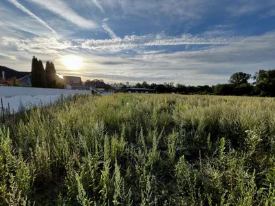 Grundstück kaufen in Perg – 500 m² – Bild 2 von 8
