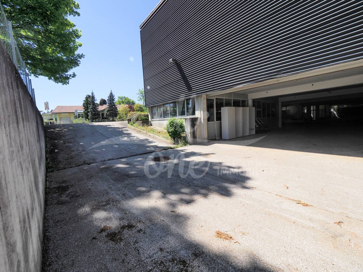 Lagerhalle mit ca. 1.085 m² und Zufahrt für Fahrzeuge in Klagenfurt-Annabichl - Ansicht 3