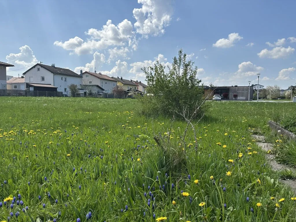 Traumhaftes Grundstück in Ruhelage in Mattighofen - Widok 2