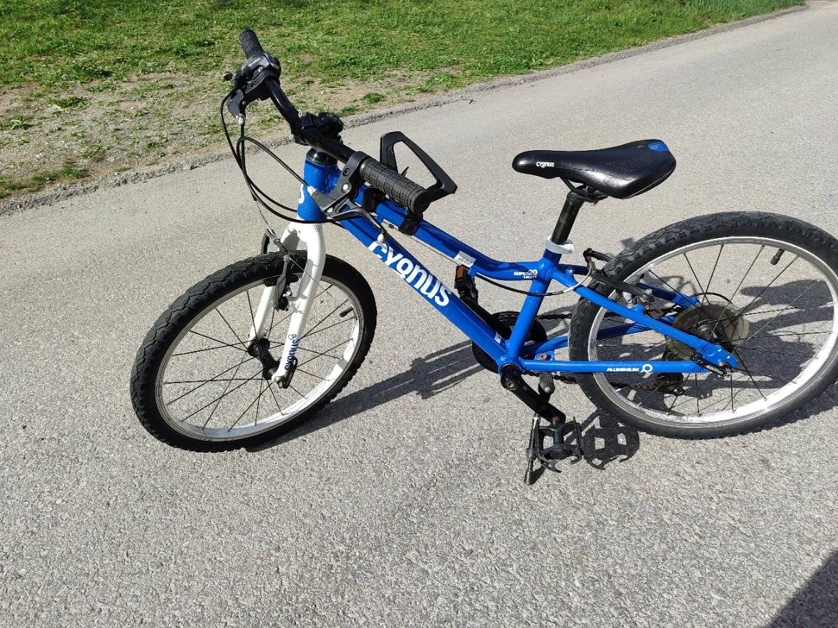 Kinderfahrrad 20 Zoll,  80,- (9911 Assling) - willhaben