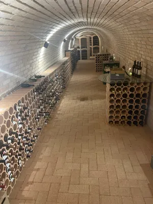 Gewerbeimmobilie mieten in Wien – 150 m², € 1.450 – Bild 27 von 38