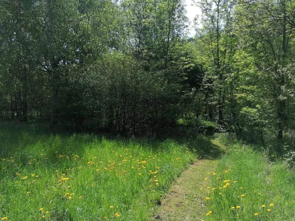 Pischeldorf - ruhige und sonnige Baugründe - aufgeschlossen - Ansicht 2