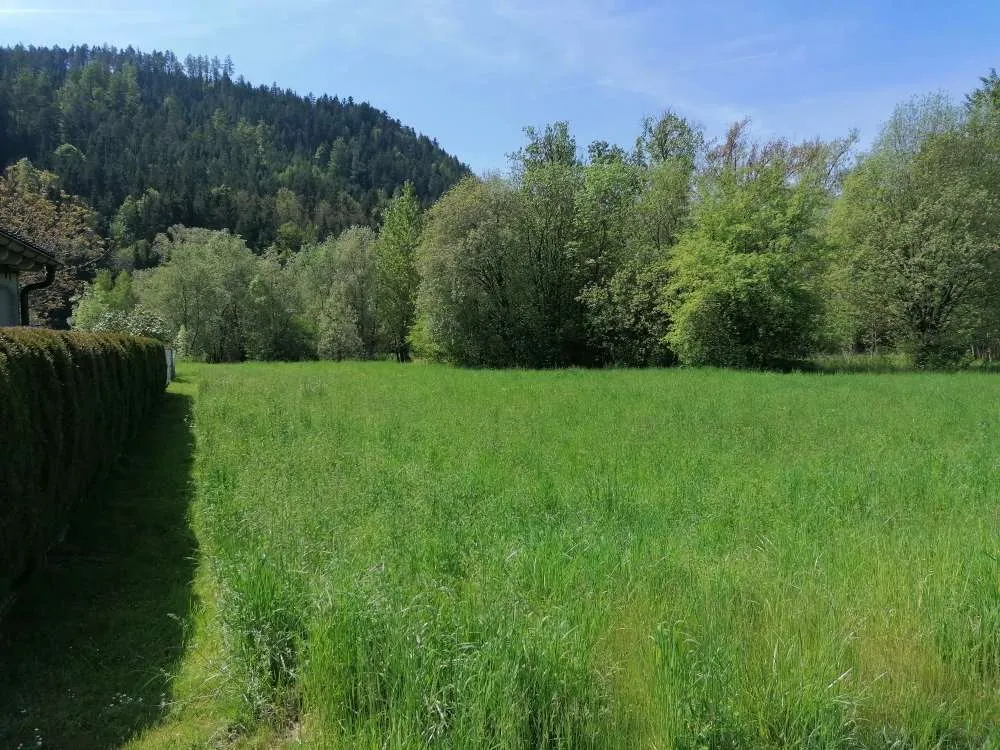 Pischeldorf - ruhige und sonnige Baugründe - aufgeschlossen - Ansicht 3