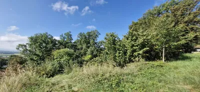 Grundstück kaufen in Urfahr-Umgebung – 1 093 m², € 175.000 – Bild 3 von 8