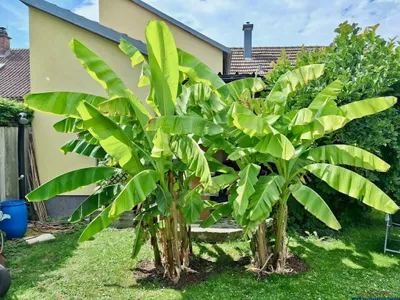 3-Zimmer-Haus kaufen in Gänserndorf – 120 m², € 369.000 – Bild 22 von 33