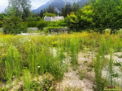 Grundstück kaufen in Hermagor – 1 426 m², € 230.000 – Bild 7 von 11