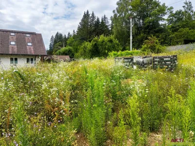 Grundstück kaufen in Hermagor – 1 426 m², € 230.000 – Bild 8 von 11